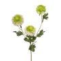 Kunstzweig Scabiosa caucasica ANAYS, weiß-grün, 80cm