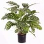 Künstliche Calathea Makoyana GODE, grün-gelb, 65cm