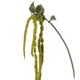 Plastik Amaranthus Zweig YASIN mit Blüten, grün, 125cm