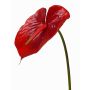 Flamingoblume künstlich MOIRA, rot, 75cm, 13x18cm