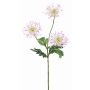 Chrysantheme Zweig künstlich SOLVIE, weiß-rosa, 75cm, Ø11-12cm