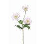 Chrysantheme Zweig künstlich SOLVIE, weiß-rosa, 75cm, Ø11-12cm
