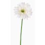 Gerbera künstlich HELLI, creme, 65cm, Ø12cm