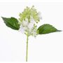 Künstliche Hortensie CHABY, weiß-grün, 30cm, Ø9cm
