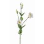 Künstliche Lisianthus JUDIKA, weiß-grün, 70cm, Ø6-7cm