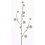 Künstlicher Ballon-Wolfsmilch EMRAH, creme, 80cm, Ø3-4,5cm