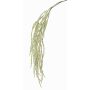 Künstlicher Amaranthus Zweig MARGARETE, Blüten, creme, 105cm