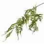 Künstlicher Asparagus plumosus Zweig CHRISTIAN, grün, 85cm
