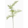Kunst Asparagus plumosus Zweig HAYDON, grün, 85cm