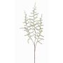 Kunst Asparagus acutifolius Zweig JOCHEN, grün, 70cm