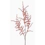 Künstlicher Wildspargel Zweig Asparagus acutifolius JOCHEN, orange, 70cm
