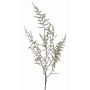Asparagus acutifolius Zweig künstlich JOCHEN, grün, 130cm