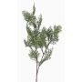 Künstlicher Zweig Zypresse FROWIN, grün, 80cm
