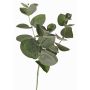 Deko Eucalyptus Zweig JAMAL, grün-grau, 25cm
