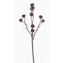 Künstlicher Eukalyptus Zweig BASILIUS mit Früchten, braun, 60cm