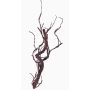 Künstlicher Korkenzieherweide Zweig JACE, braun-rot, 45cm