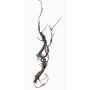 Künstlicher Korkenzieherweide Zweig JACE, braun-grau, 55cm