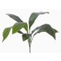Künstliche Schusterpalme VASCO auf Steckstab, 55cm