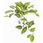 Vanilla Planifolia Orchideen Blätter künstlich CHARIS, Steckstab, grün-gelb, 45cm