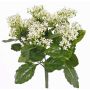 Künstliche Kalanchoe blossfeldiana LORRE auf Steckstab, crossdoor, weiß, 35cm, Ø30cm