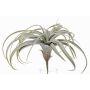 Tillandsia Xerographica künstlich ANELIA auf Steckstab, grün-grau, 30cm