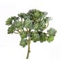 Künstliche Echeveria macdougallii BLAIR auf Steckstab, grün, 20cm, Ø10cm