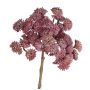 Sedum rubrotinctum künstlich DANICA, dunkelrot, 20cm, Ø10cm