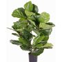 Künstlicher Ficus Lyrata RHYS, crossdoor, grün, 70cm