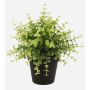 Kunstkräuter Eukalyptus YANIS, grün, 20cm