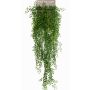 Künstliche Hängepflanze Jasmin AZAHARA auf Steckstab, grün, 80cm