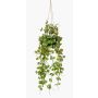 Kunstpflanze Leuchterblume Blumenampel BOLTEN, grün, 50cm