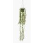 Kunstpflanze Korallenkaktus Blumenampel BOLTEN, grün, 80cm