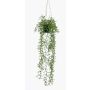 Kunstpflanze Senecio Blumenampel BOLTEN, grün, 70cm