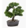 Plastik Bonsai Pinie GALDOS in Schale, 30cm