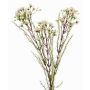 Künstlicher Zweig Wachsblume MEDEA, creme, 80cm, Ø6cm