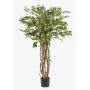 Ficus Benjamina künstlich CARLOH, Echtstämme, grün, 140cm