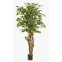 Ficus Benjamina künstlich CARLOH, Echtstämme, grün, 170cm