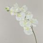 Große Kunstblume Phalaenopsis Orchideen Zweig ANAT, weiß, 95cm, Ø9-11,5cm