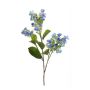Kunsthortensie ALAZNE, blau, 75cm, Ø7-10cm