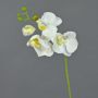 Kunst Phalaenopsis Orchidee Zweig MINA, weiß, 55cm, Ø7-8cm