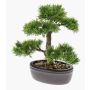 Bonsai Zeder künstlich BERTOLT in Schale, 30cm