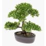 Kunstpflanze Bonsai Ficus HESPER in Schale, 30cm