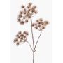 Große Kunstblume Bärenklau BELMIRO, braun, 100cm, Ø13-15cm
