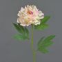 Pfingstrose künstlich MARILOU, creme-rosa, 80cm, Ø14cm