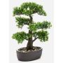 Kunstpflanze Bonsai Ficus HESPER in Schale, 45cm