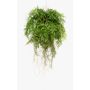 Kunstfarn Boston Farn Blumenampel NILO, Erdball, Wurzeln, 75cm, Ø55cm