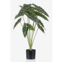 Künstliche Pflanze Alocasia Sanderiana FIORELLA, grün, 80cm