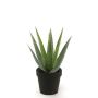 Künstliche Sukkulente Aloe Variegata MARTINEZ, grün, 25cm, Ø17cm