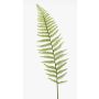 Deko Blatt Boston Farn CODY, grün, 100cm