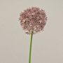 Kunstblume Allium ARNAU, altlila, 60cm, Ø10cm